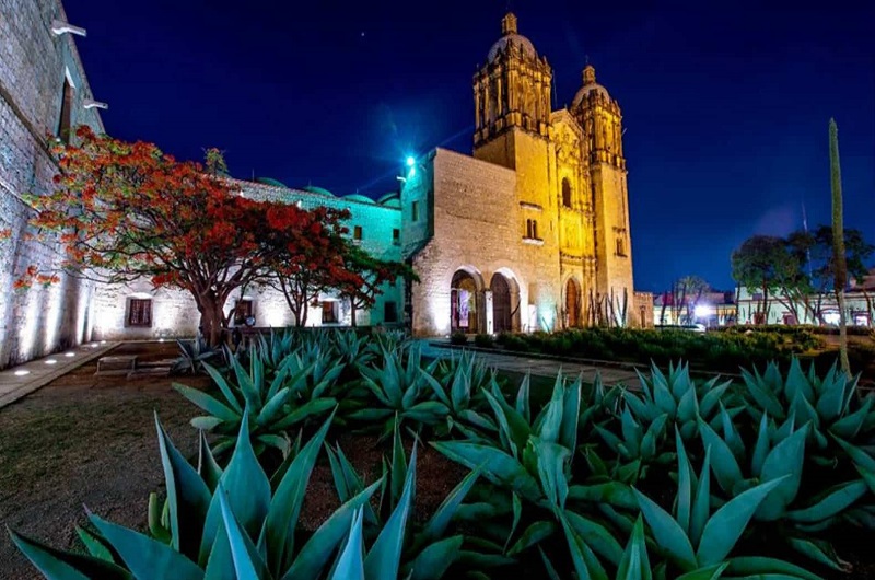 Oaxaca Habibi